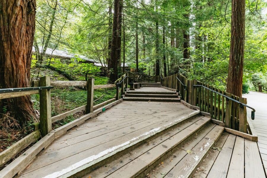 San Francisco: Muir Woods and Sausalito Small-Group Tour - Guide quality and the small-group advantage