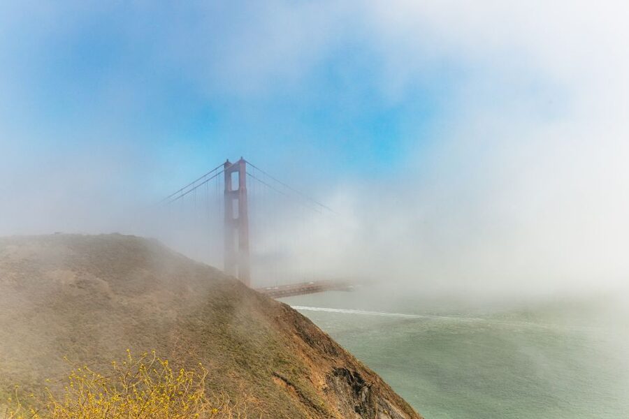 San Francisco: Muir Woods and Sausalito Small-Group Tour - Is $99 a fair price?