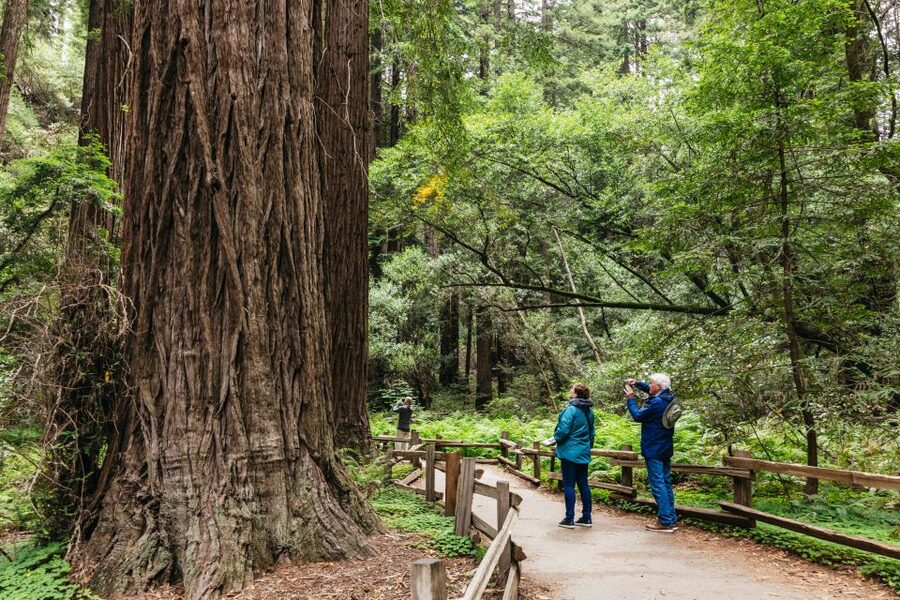 San Francisco: Muir Woods, Napa & Sonoma Valley Wine Tour - Early pickup and the ride across the Golden Gate