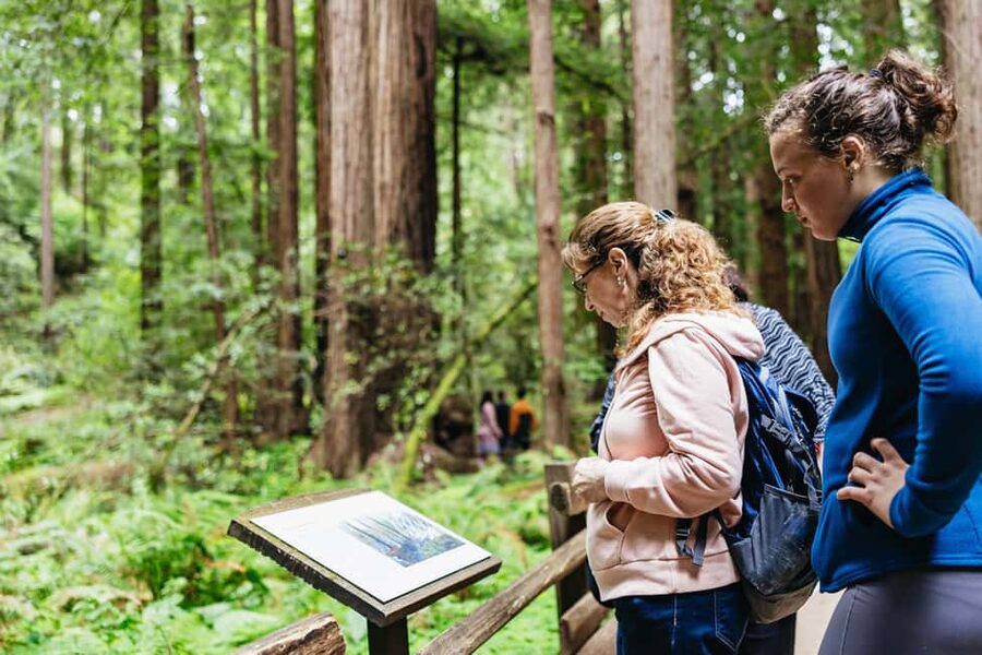 San Francisco: Muir Woods & Sausalito Tour with Ferry Option - Key points at a glance