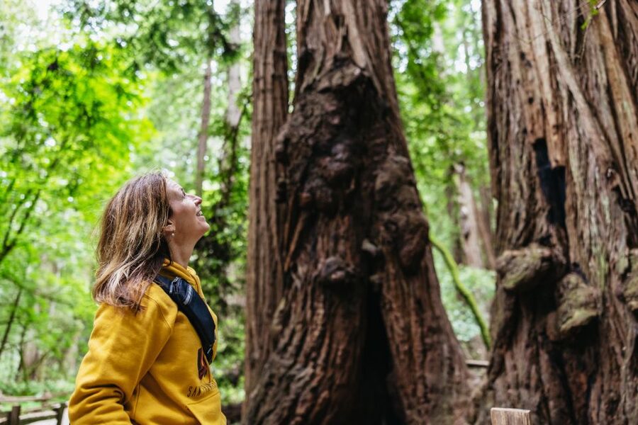 San Francisco: Muir Woods & Sausalito Tour with Ferry Option - Walking beneath Muir Woods redwoods