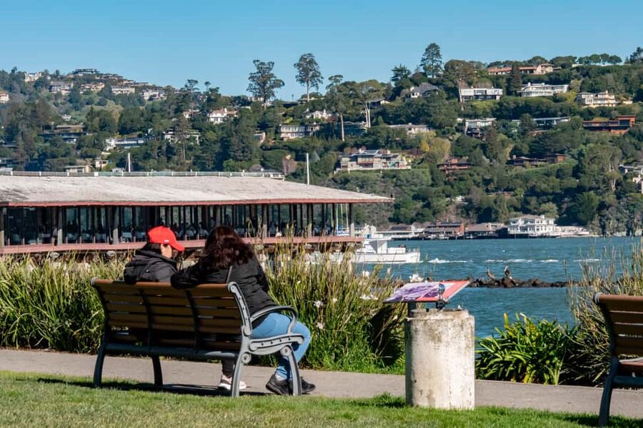 San Francisco: Muir Woods & Sausalito Tour with Ferry Option - Making the most of your 90 minutes