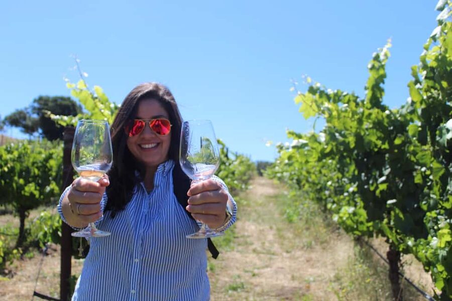 San Francisco: Napa and Sonoma Valley Wine Tour - Why this tour works from San Francisco