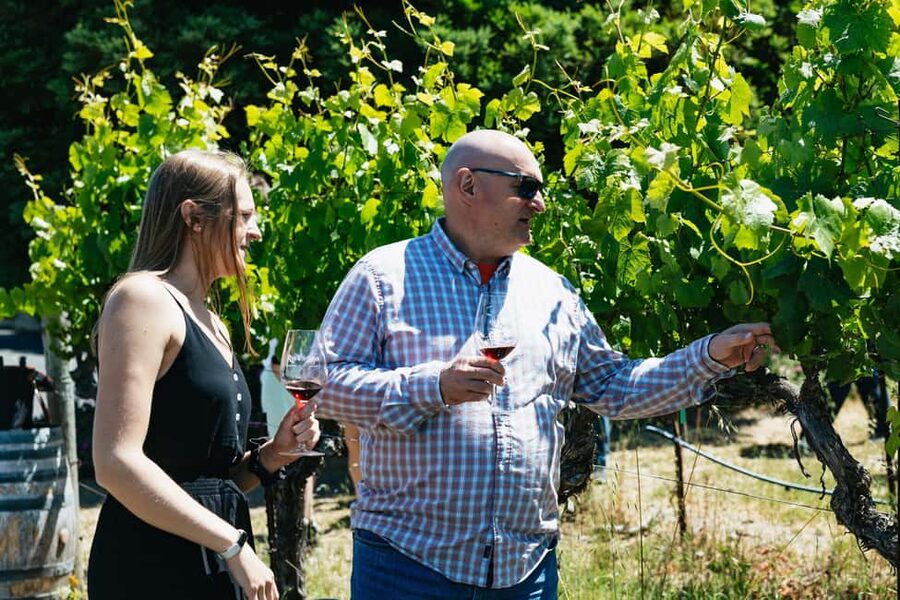 San Francisco: Napa and Sonoma Valley Wine Tour - Sonoma Plaza gives you a real town break