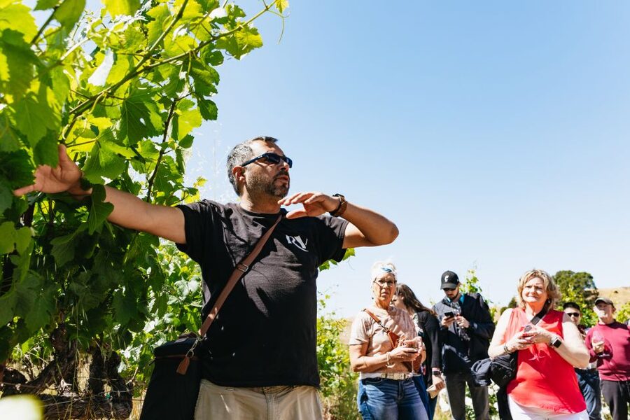 San Francisco: Napa and Sonoma Valley Wine Tour - The coach ride home can be the long part