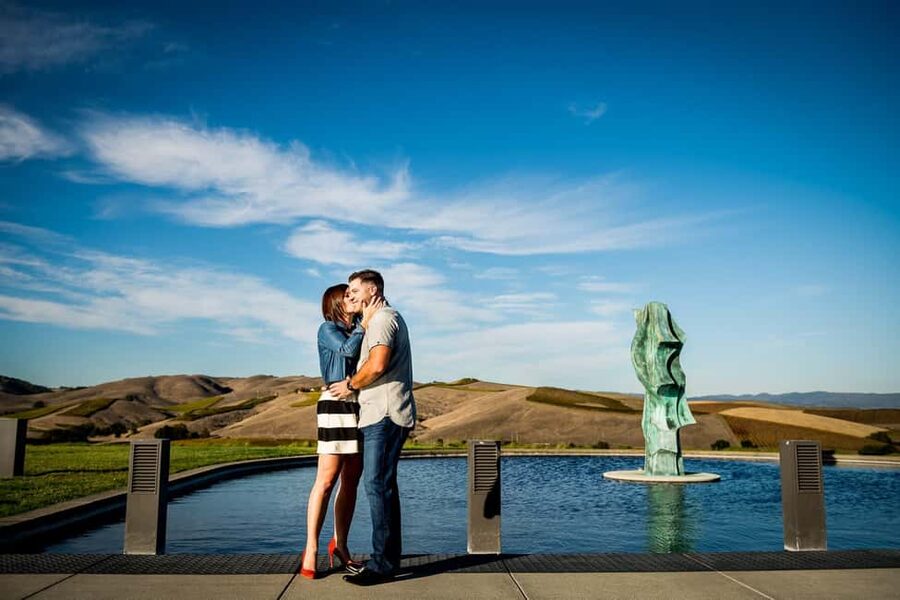 San Francisco: Napa and Sonoma Valley Wine Tour - Who should book this wine country day?
