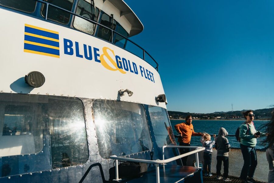 San Francisco: Skip-the-Line 1-Hour Bay Cruise by Boat - Key points before you book