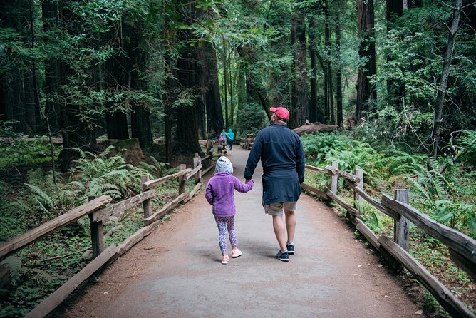 San Francisco Super Saver: Muir Woods & Wine Country w/ optional Gourmet Lunch - One peaceful hour among the Muir Woods redwoods