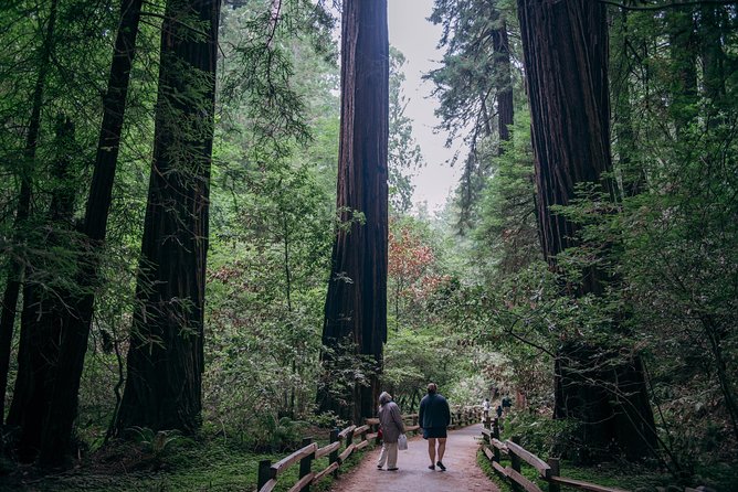 San Francisco Super Saver: Muir Woods & Wine Country w/ optional Gourmet Lunch - Ru Vango Winery and the first taste of Napa