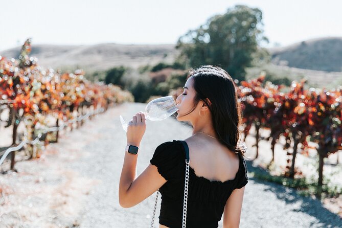 San Francisco Super Saver: Muir Woods & Wine Country w/ optional Gourmet Lunch - Sonoma Plaza gives you a real lunch choice