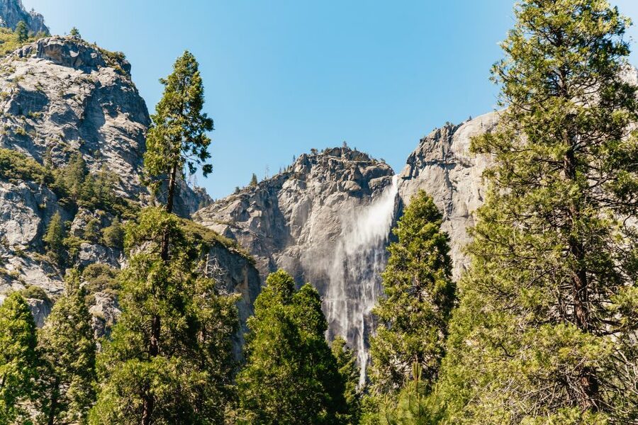 San Francisco: Yosemite National Park & Giant Sequoias Hike - Guides, audio options, and the human side of the day