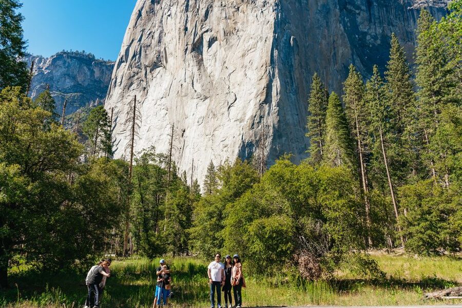 San Francisco: Yosemite National Park & Giant Sequoias Hike - Two free hours in Yosemite Valley