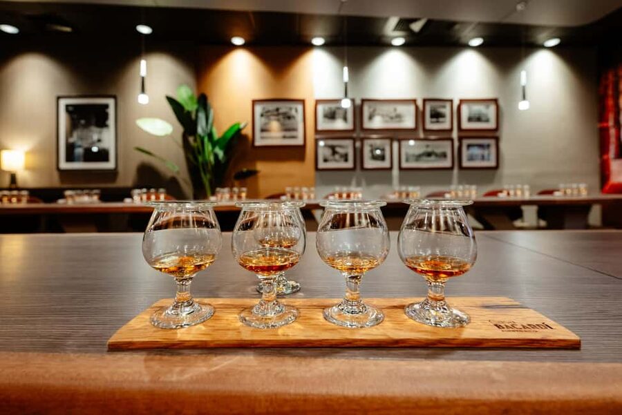 San Juan: Casa Bacardi Distillery Tour - Key points to know before you go