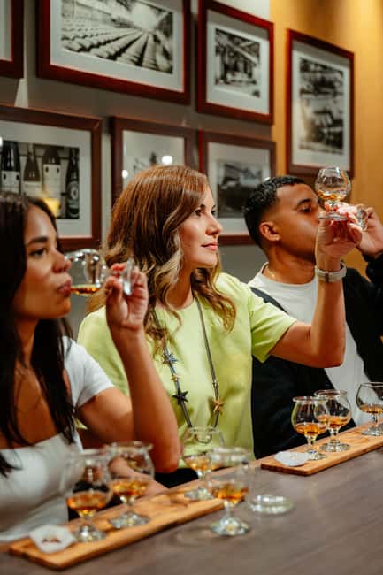 San Juan: Casa Bacardi Distillery Tour - A short trolley ride puts Bacardi’s scale in context