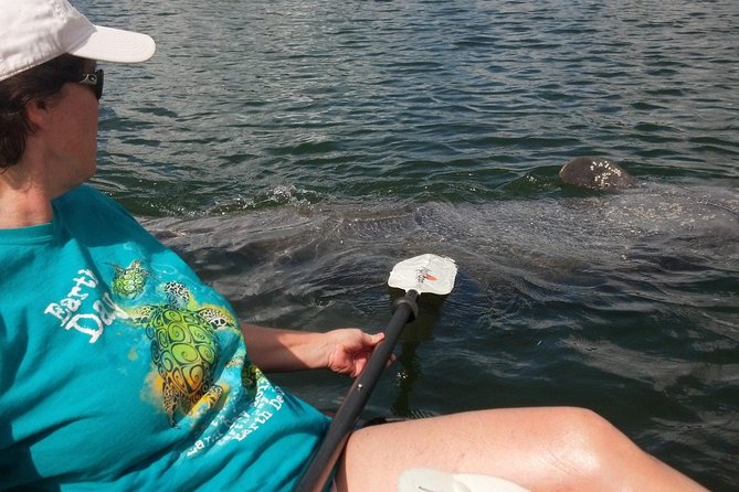 Sarasota Guided Mangrove Tunnel Kayak Tour - Five things to know before you paddle