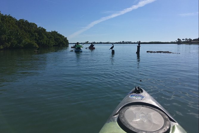 Sarasota Guided Mangrove Tunnel Kayak Tour - Starting at 190 Taft Drive in Sarasota