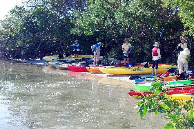 Sarasota Guided Mangrove Tunnel Kayak Tour - Entering the South Lido mangrove tunnels