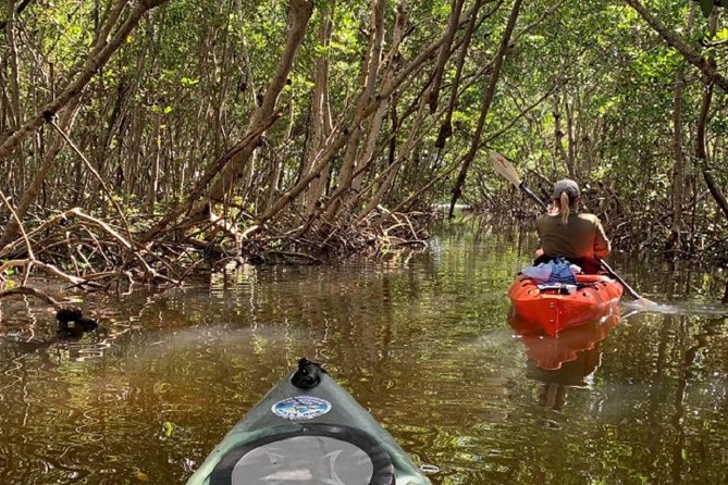Sarasota Guided Mangrove Tunnel Kayak Tour - What the two-hour schedule feels like