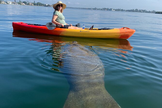 Sarasota Mangrove Tunnel Guided Kayak Adventure - Key Details Before You Paddle