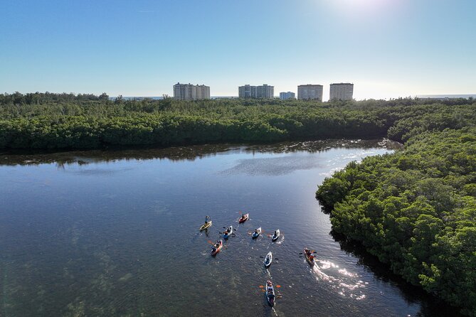 Sarasota Mangrove Tunnel Guided Kayak Adventure - From Ted Sperling Nature Park to Sarasota Bay