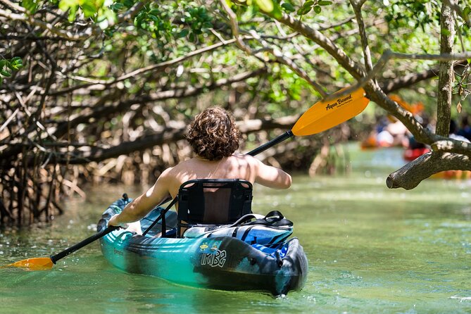 Sarasota Mangrove Tunnel Guided Kayak Adventure - Guides Who Set the Tone