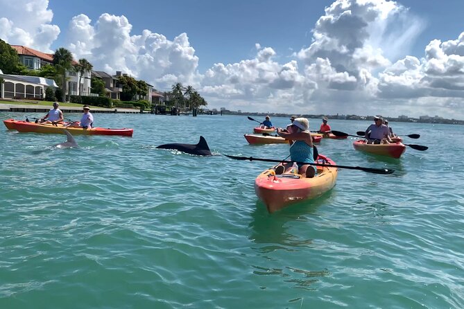 Sarasota Mangrove Tunnel Guided Kayak Adventure - How Hard Is the Kayaking?