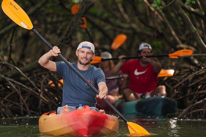 Sarasota Mangrove Tunnel Guided Kayak Adventure - Searching Sarasota Bay for Wildlife