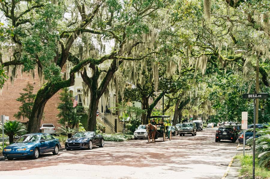 Savannah: Old Savannah Tours Historic Overview - What the 75 minutes can and cannot do