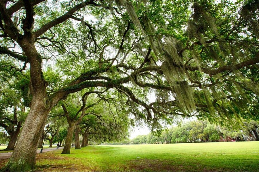 Savannah: Riverboat Cruise & City Tour Combo - Who will enjoy this Savannah combination?