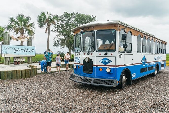 Savannah to Tybee Island with Dolphin Cruise - The dolphin cruise through Tybee’s waterways