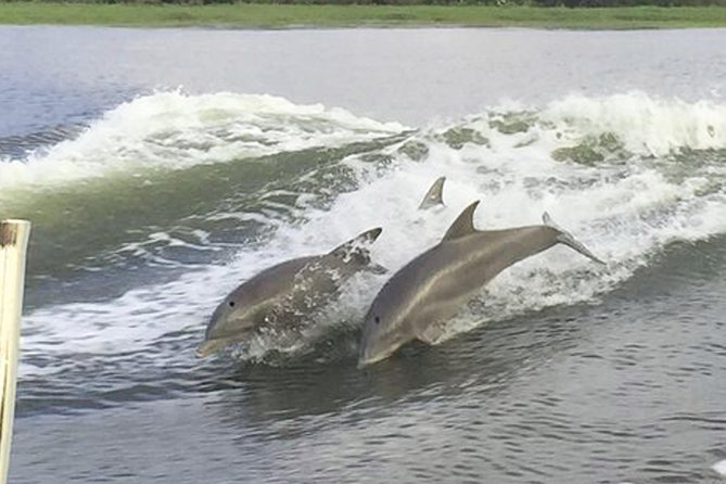 Savannah to Tybee Island with Dolphin Cruise - How much value do you get for $73.83?