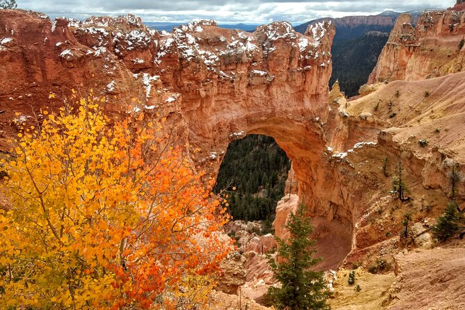 Scenic Tour of Bryce Canyon - Why a three-hour Bryce tour works so well