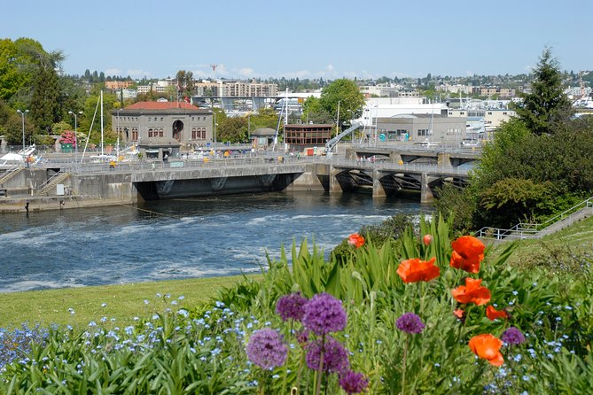 Seattle City Highlights Tour - Why this tour works well as a Seattle introduction