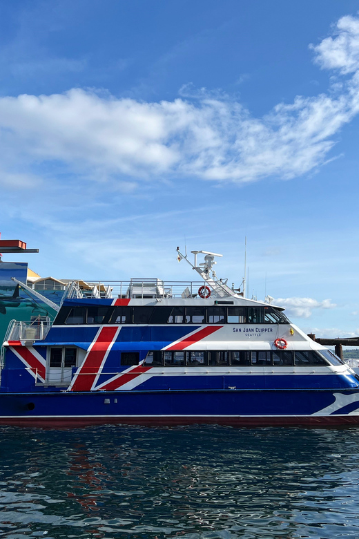 Seattle: Half-Day Wildlife and Whale Watching Cruise - Key points at a glance