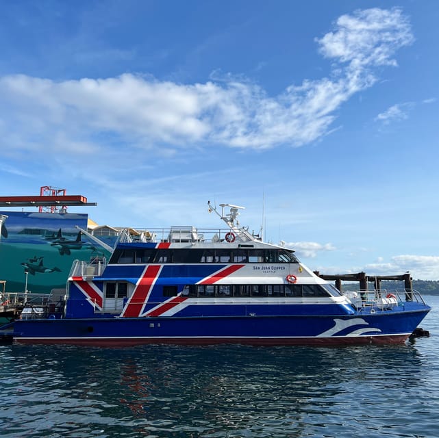 Seattle: Half-Day Wildlife and Whale Watching Cruise - Seats, decks, and viewing conditions