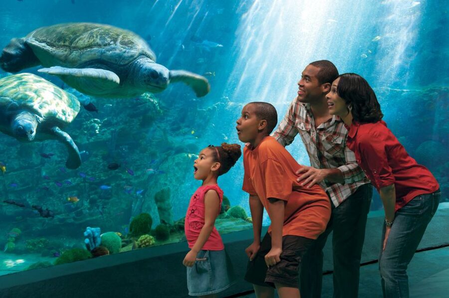 SeaWorld Orlando: Park Admission Ticket - Key points to know before you go
