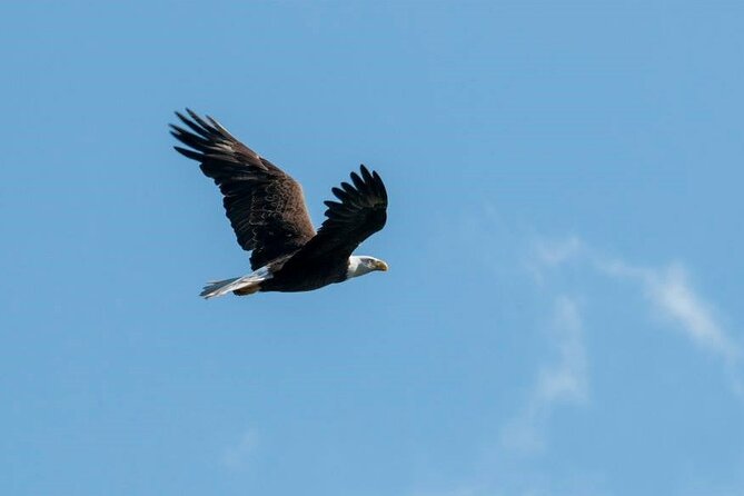 See Crystal River - Mantee & Wildlife Viewing Cruise - Entering the Crystal River National Wildlife Refuge