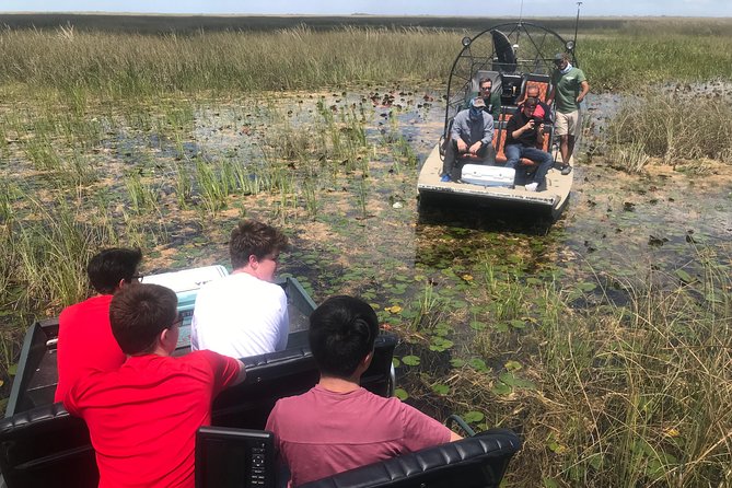 Semi-Private 1-Hour Airboat Tour of Miami Everglades - What happens during the one-hour ride