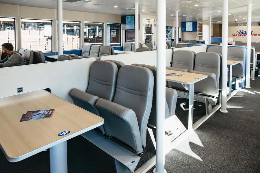 Seward: Kenai Fjords National Park Catamaran Cruise w/Lunch - Is the $265 price fair?