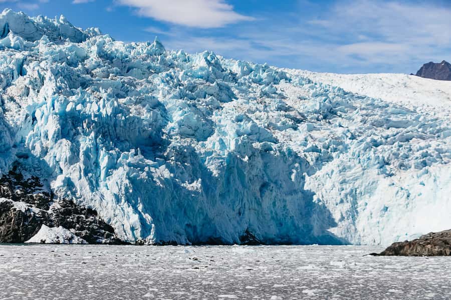 Seward: Kenai Fjords National Park Catamaran Cruise w/Lunch - Resurrection Bay is your opening act