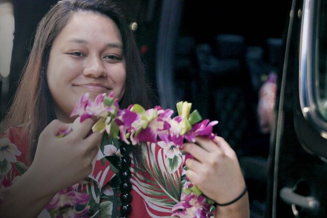 Shared Round-Trip Transfer: Honolulu Airport to Hotel or Cruise Terminal - What the $51.90 fare actually buys
