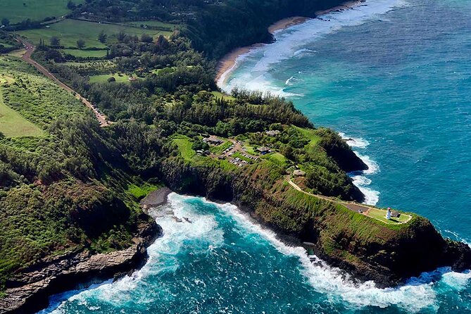 Shared Round-Trip Transfer: Honolulu Airport to Hotel or Cruise Terminal - The return trip and your flight home