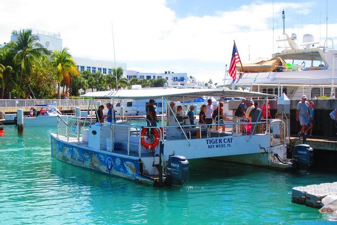 Shark and Wildlife Viewing Adventure in Key West - What the crew adds to the experience