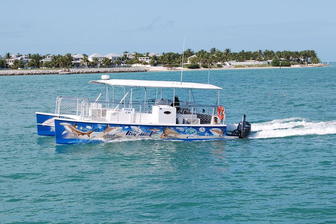 Shark and Wildlife Viewing Adventure in Key West - Drinks, snacks, and practical comfort