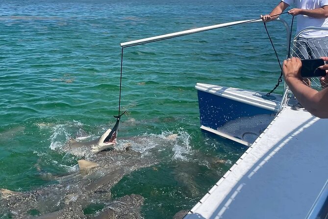 Shark and Wildlife Viewing Adventure in Key West - Is $99 a fair price?