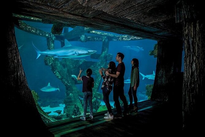 Shark Reef at Mandalay Bay Hotel and Casino - The Undersea Explorer VR Experience