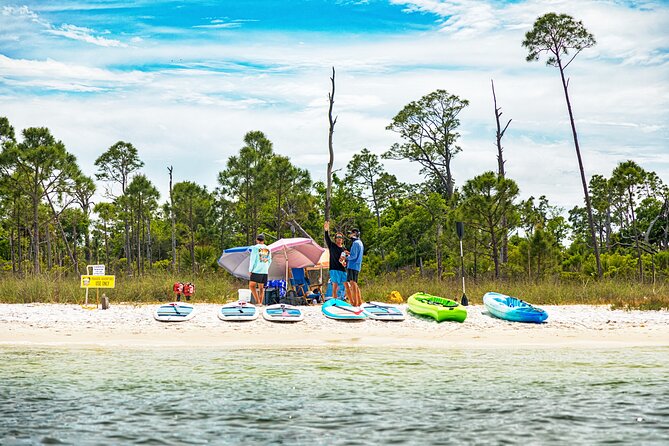 Shell Island Inflatable Adventure Park & Dolphin Sightseeing Tour - Shell Island’s floating playground