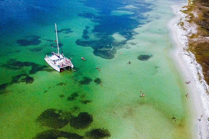 Shell Island Snorkel and Dolphin Catamaran Cruise with Island Time - Key points to know before you book