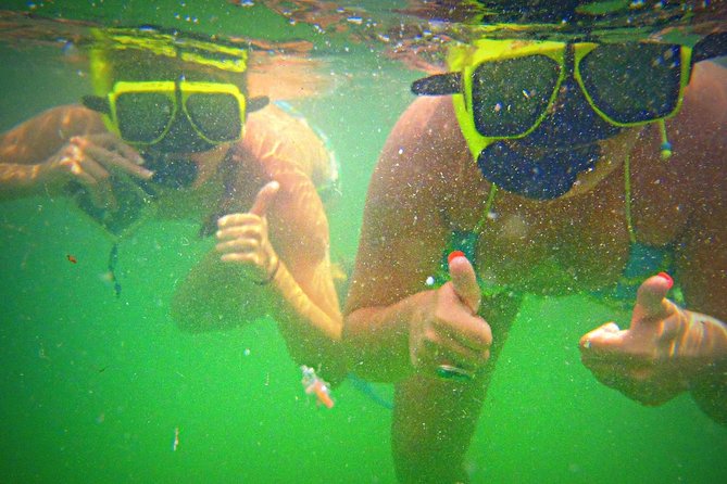 Shell Island Snorkel and Dolphin Catamaran Cruise with Island Time - What the $57.59 price really buys you
