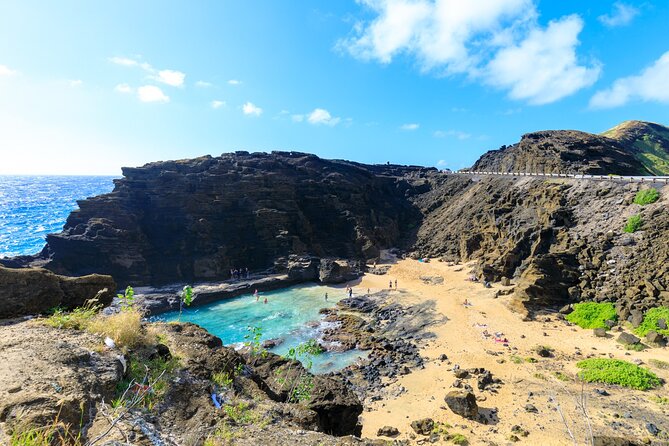 Sights & Bites Ultimate Oahu Circle Island Foodie Tour - Puaʻena Point and the chance to see turtles